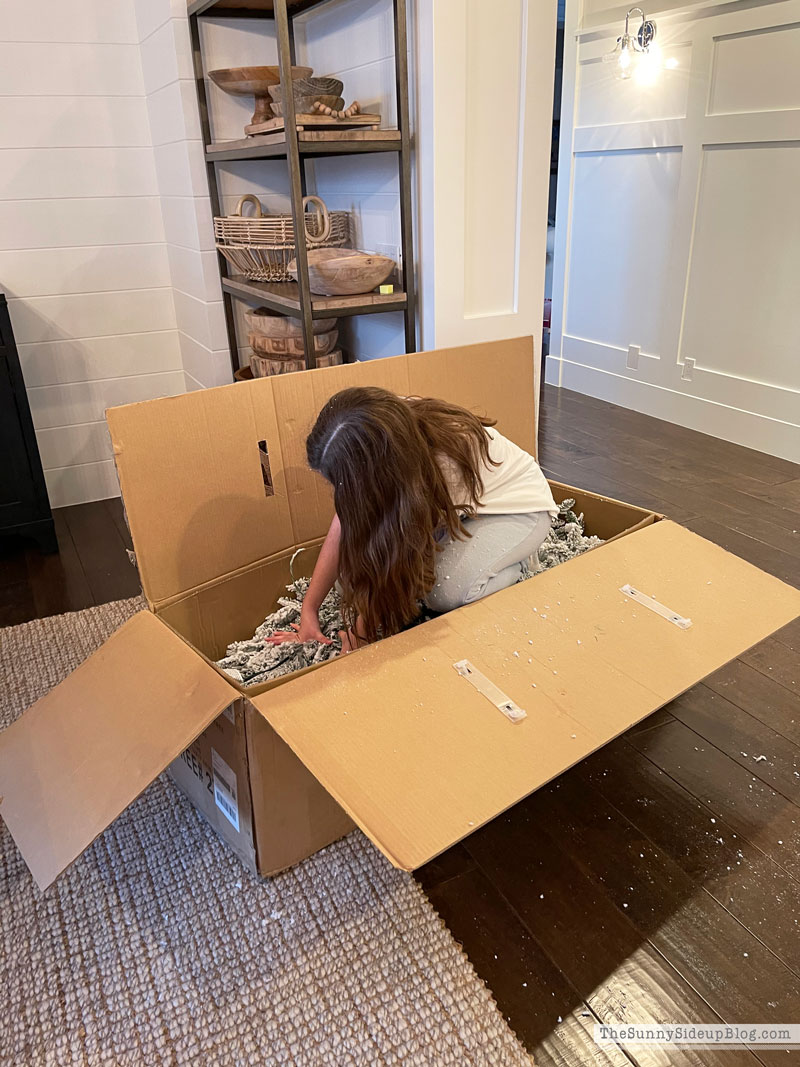 Holiday Decor Storage (Sunny Lifestyles)