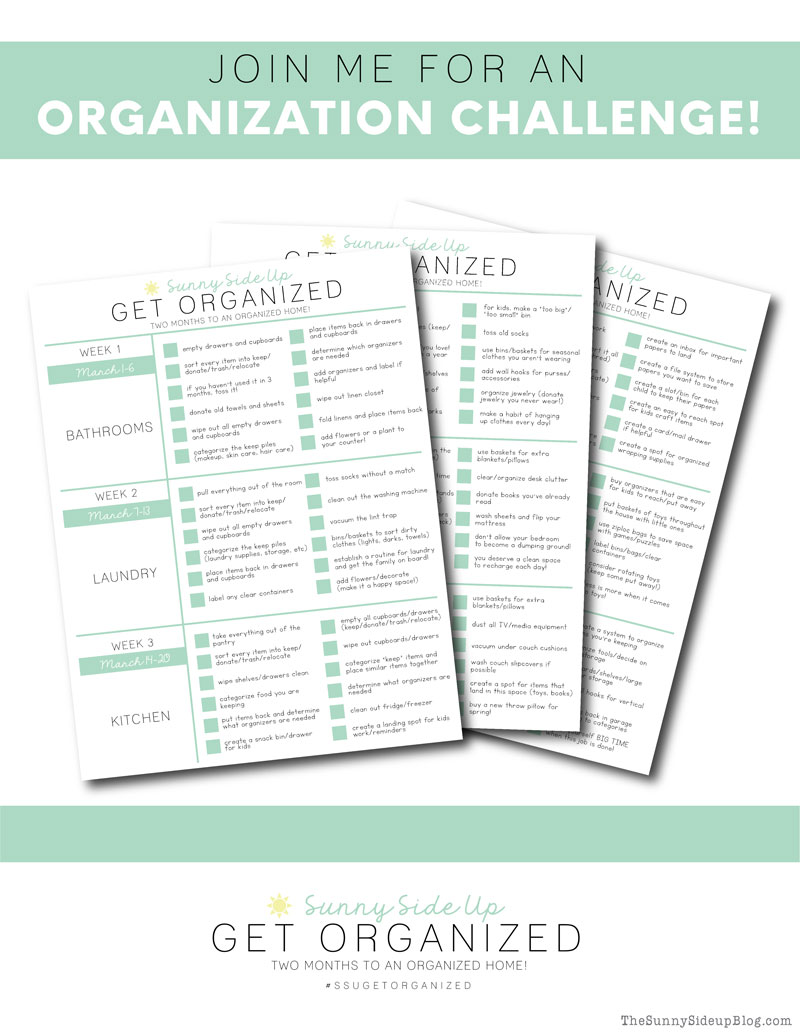 Organization Challenge (Sunny Lifestyles)