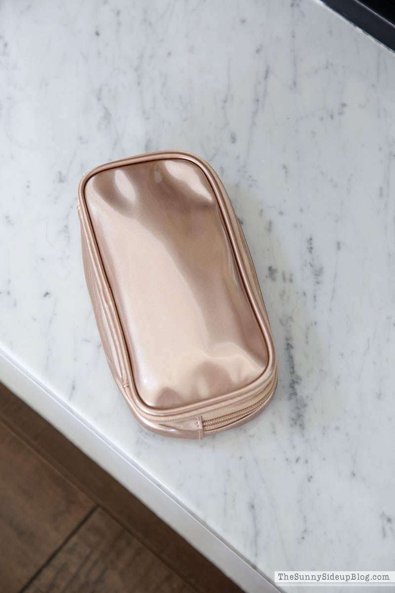 Purse Organization (Sunny Lifestyles)