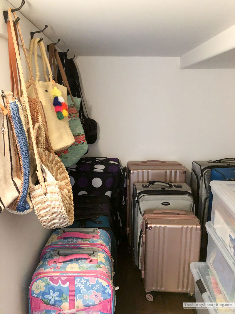 Purse Organization (Sunny Lifestyles)