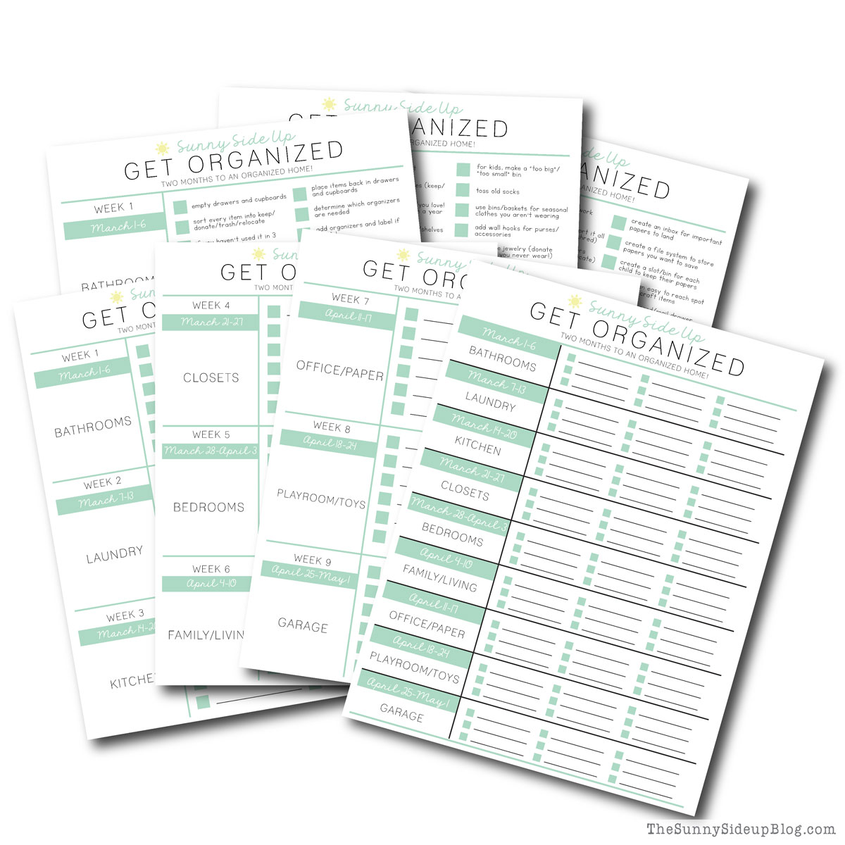 Organization Challenge (Sunny Lifestyles)