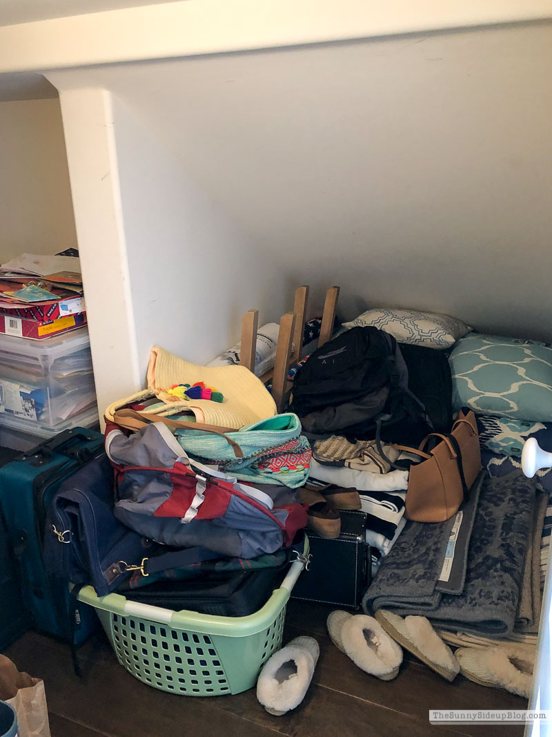 Organized Closets (Sunny Lifestyles)