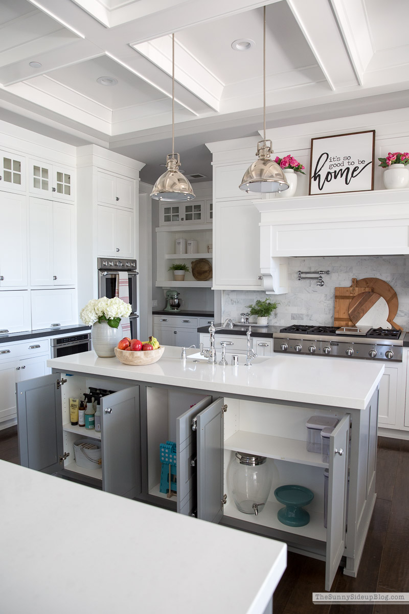 Kitchen Organization (Sunny Lifestyles)