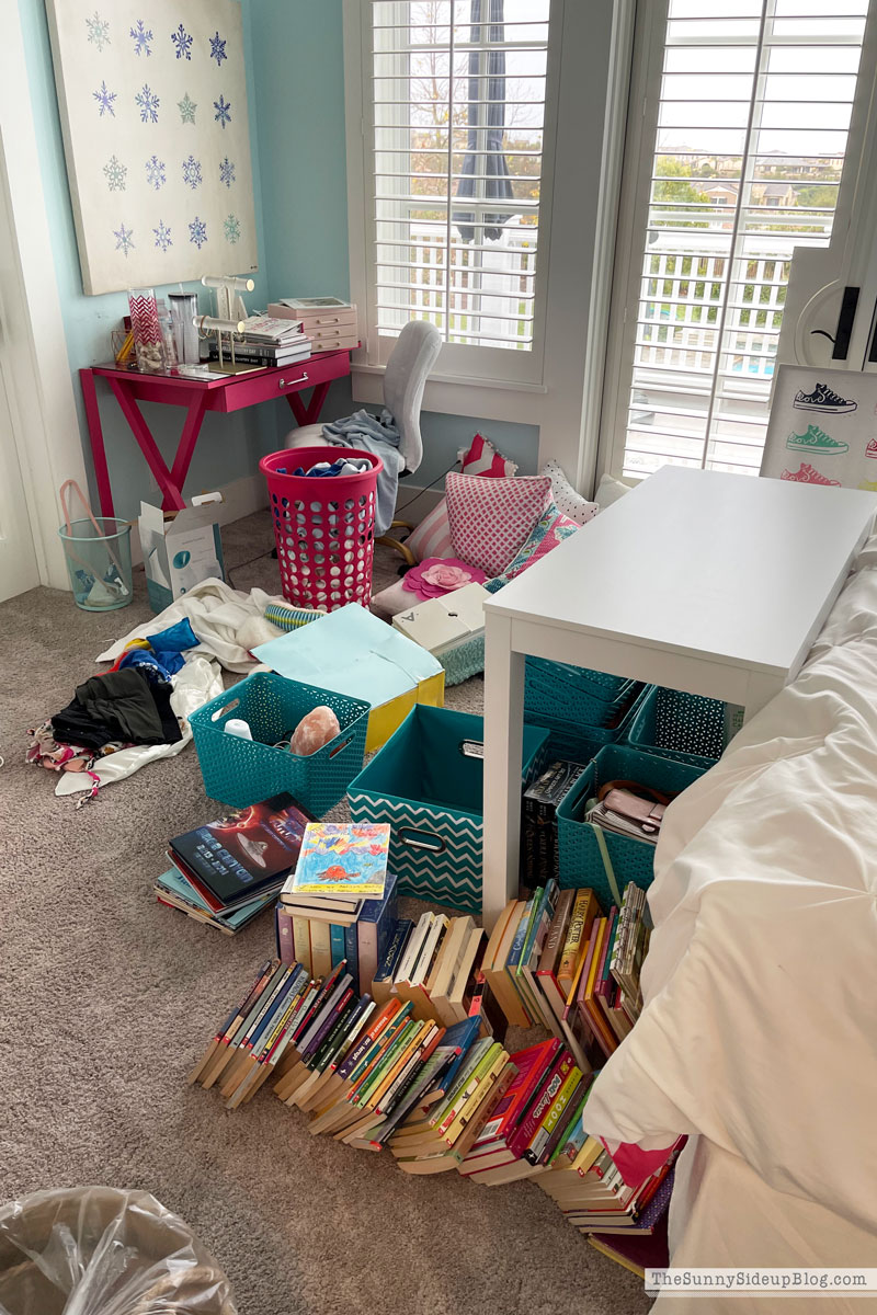 Organized Closets (Sunny Lifestyles)