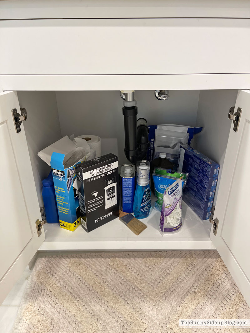 Organized Bathrooms (Sunny Lifestyles)