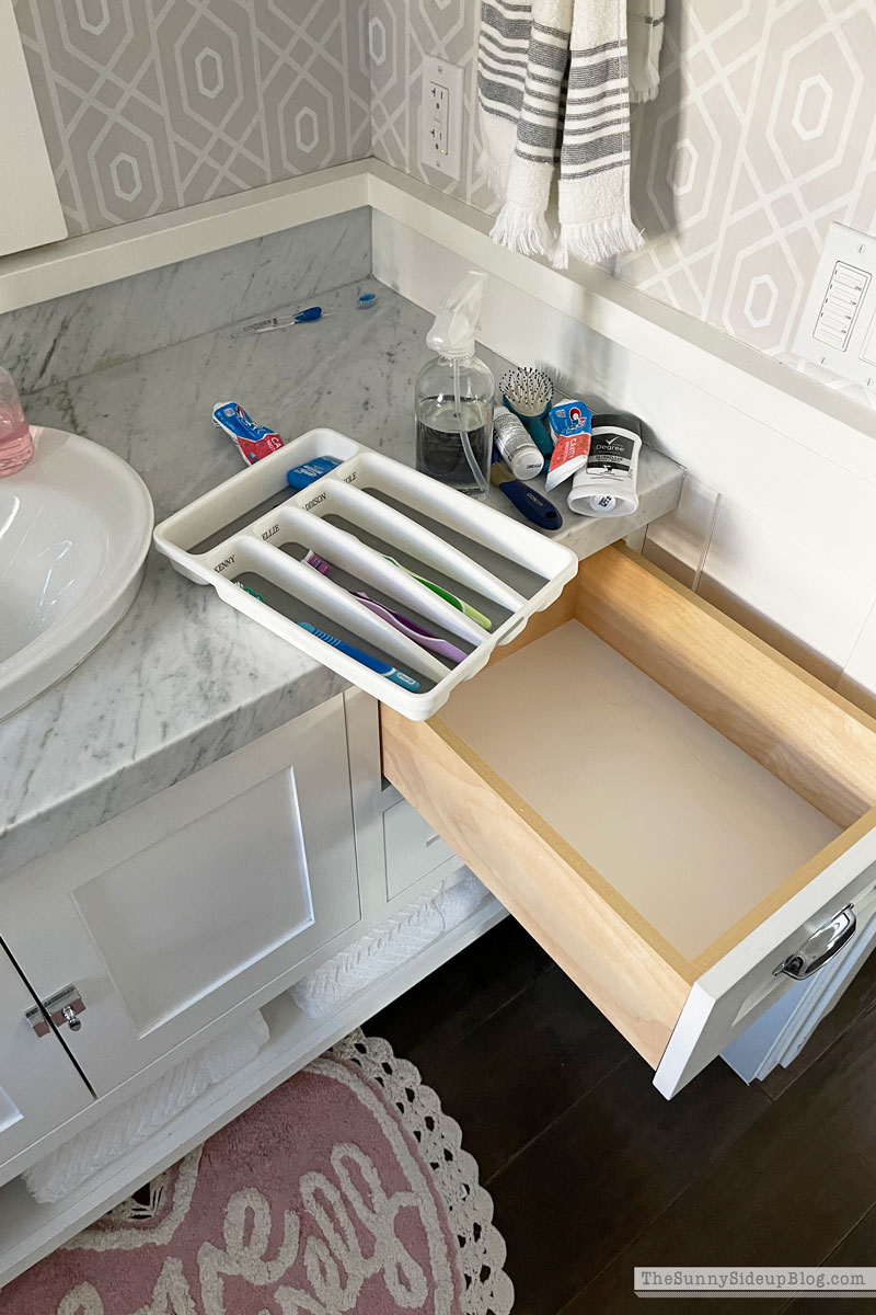 Organized Bathrooms (Sunny Lifestyles)