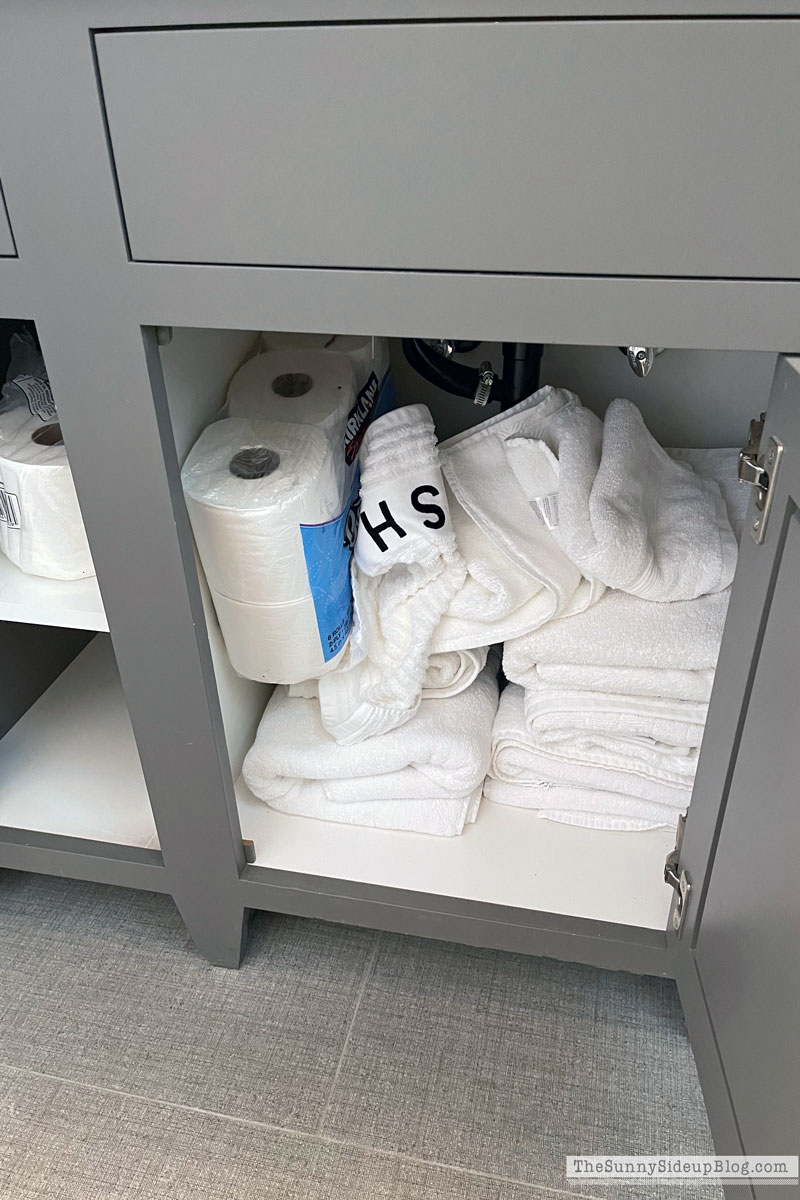 Organized Bathrooms (Sunny Lifestyles)
