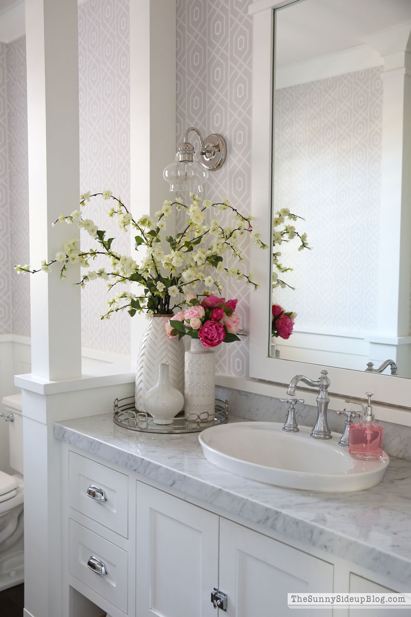 Organized Bathrooms (Sunny Lifestyles)