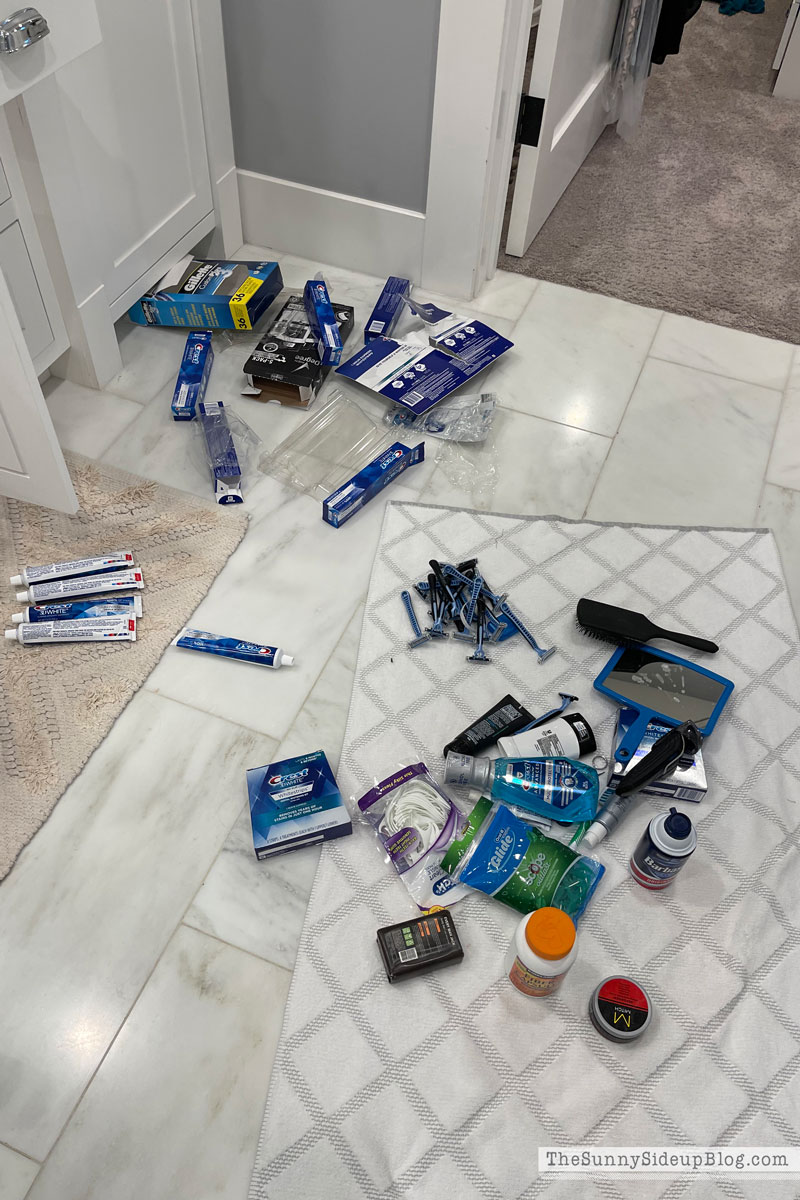 Organized Bathrooms (Sunny Lifestyles)