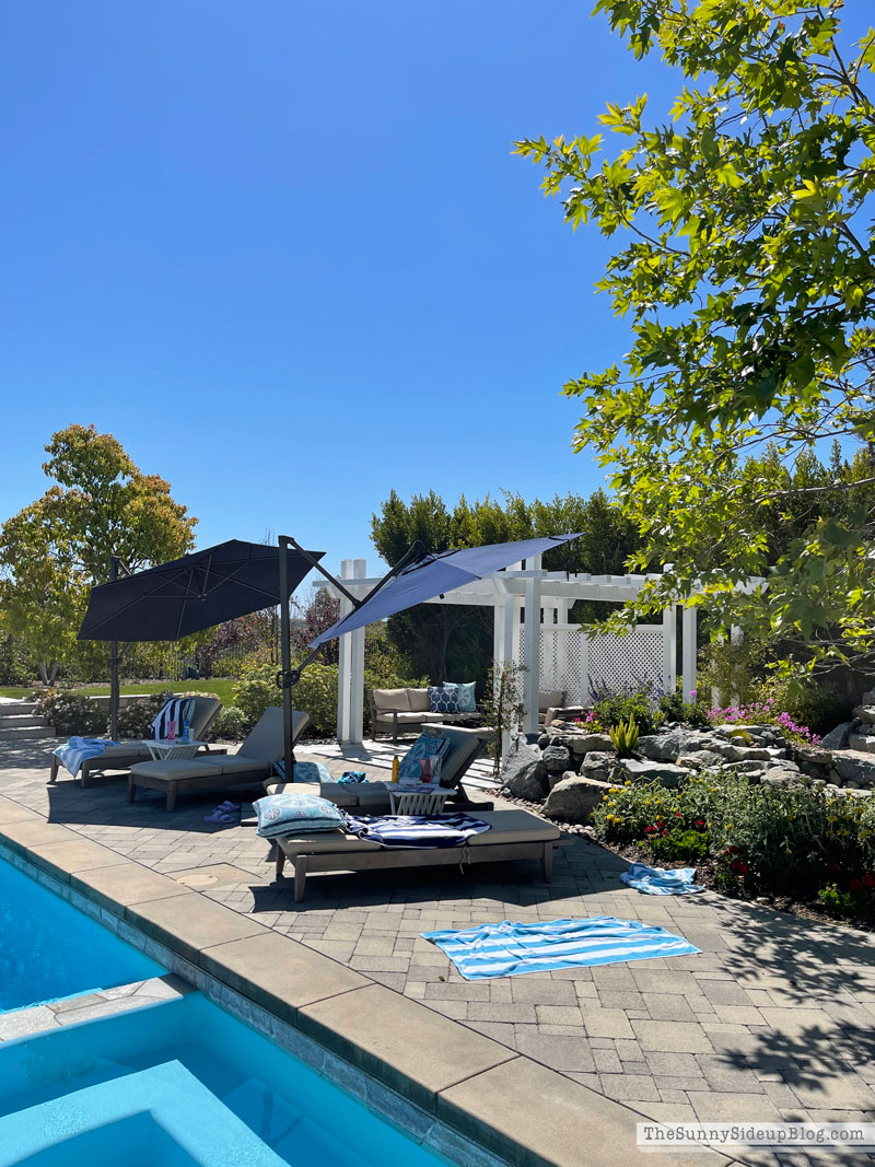 Pool days (Sunny Lifestyles)