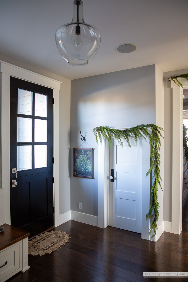 Organized Closets (Sunny Lifestyles)