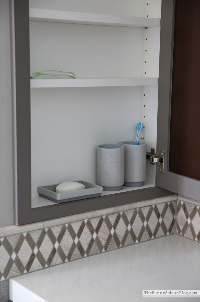 Organized Bathrooms (Sunny Lifestyles)