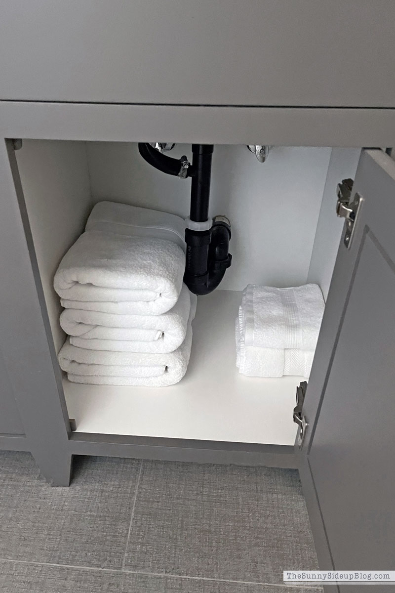 Organized Bathrooms (Sunny Lifestyles)