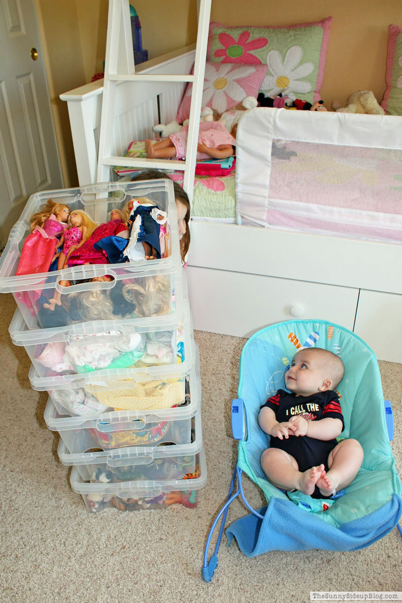 Toy Organization (Sunny Lifestyles)