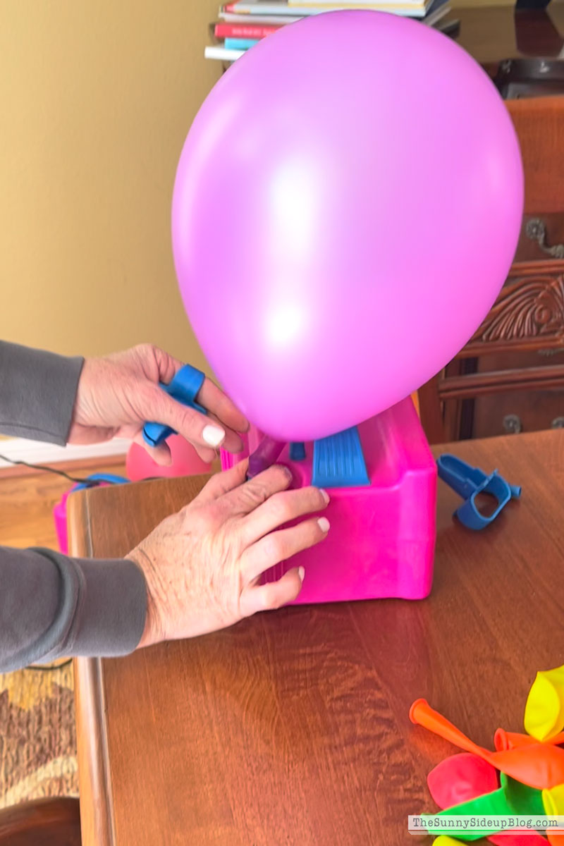Balloon Arch (Sunny Lifestyles)