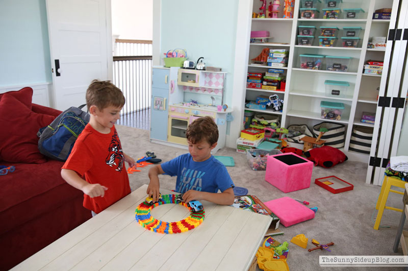 Toy Organization (Sunny Lifestyles)