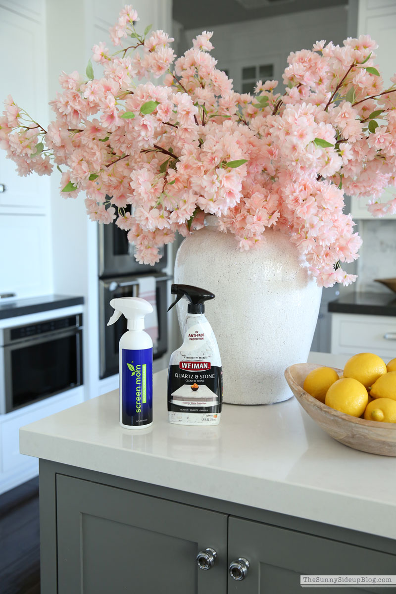 April Amazon Buys (Sunny Lifestyles)