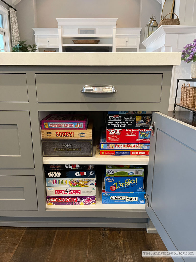 Organized Board Games (Sunny Lifestyles)