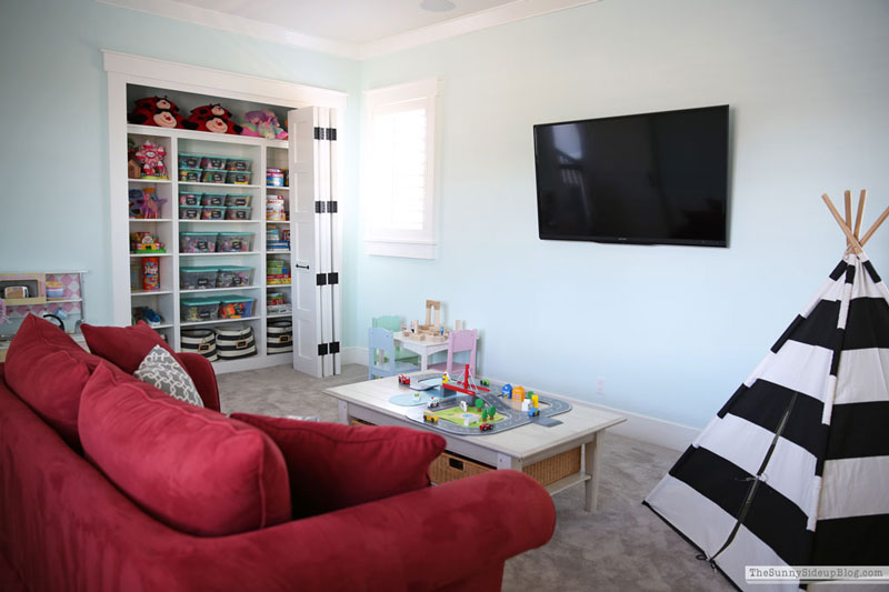 Toy Organization (Sunny Lifestyles)