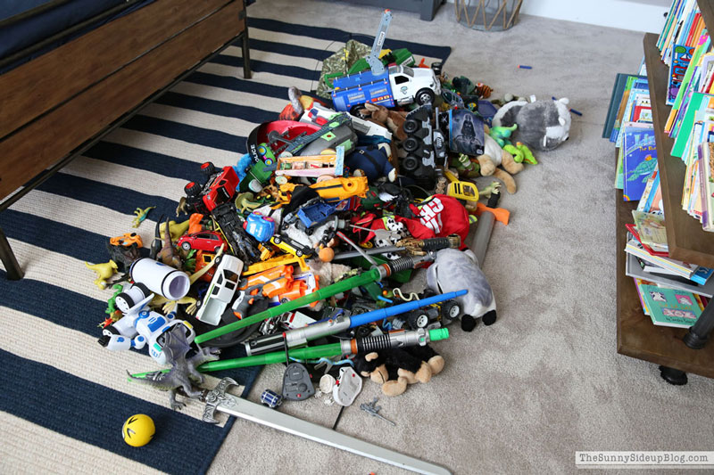 Toy Organization (Sunny Lifestyles)