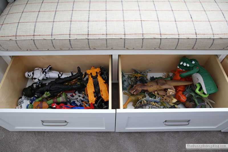 Toy Organization (Sunny Lifestyles)