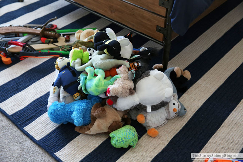 Toy Organization (Sunny Lifestyles)
