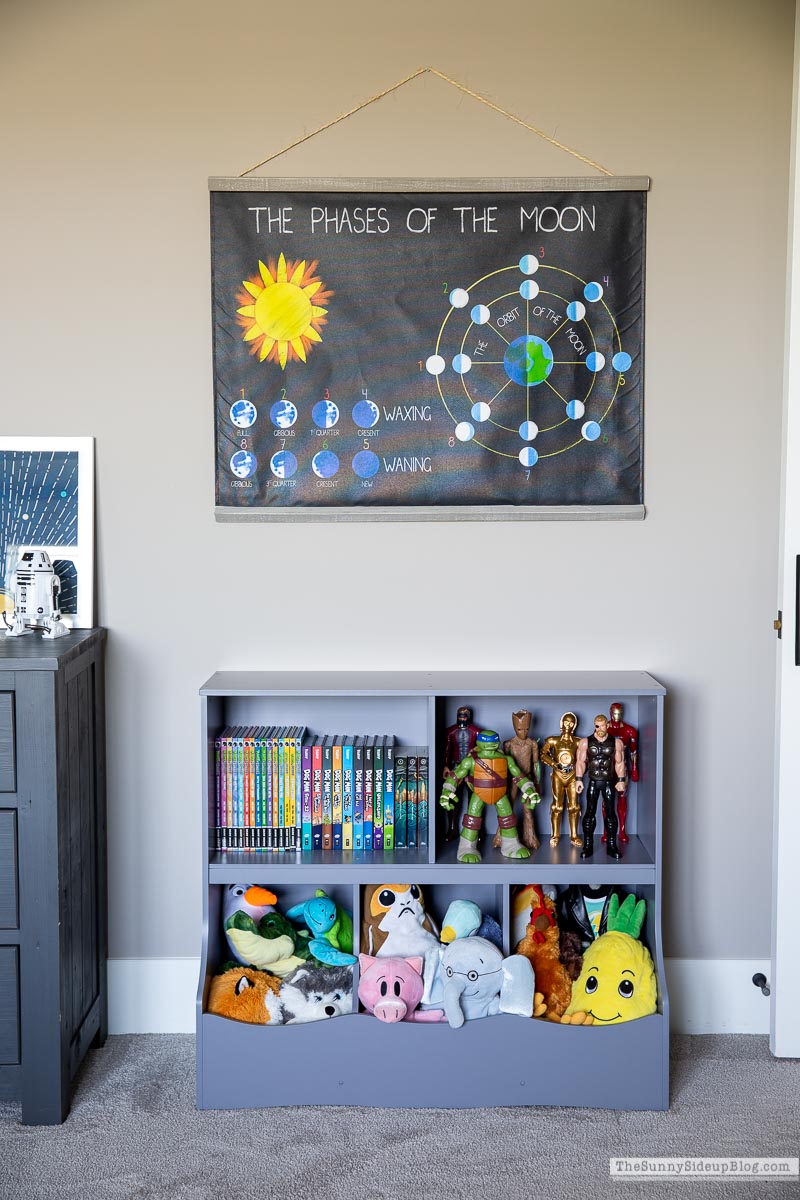 Toy Organization (Sunny Lifestyles)