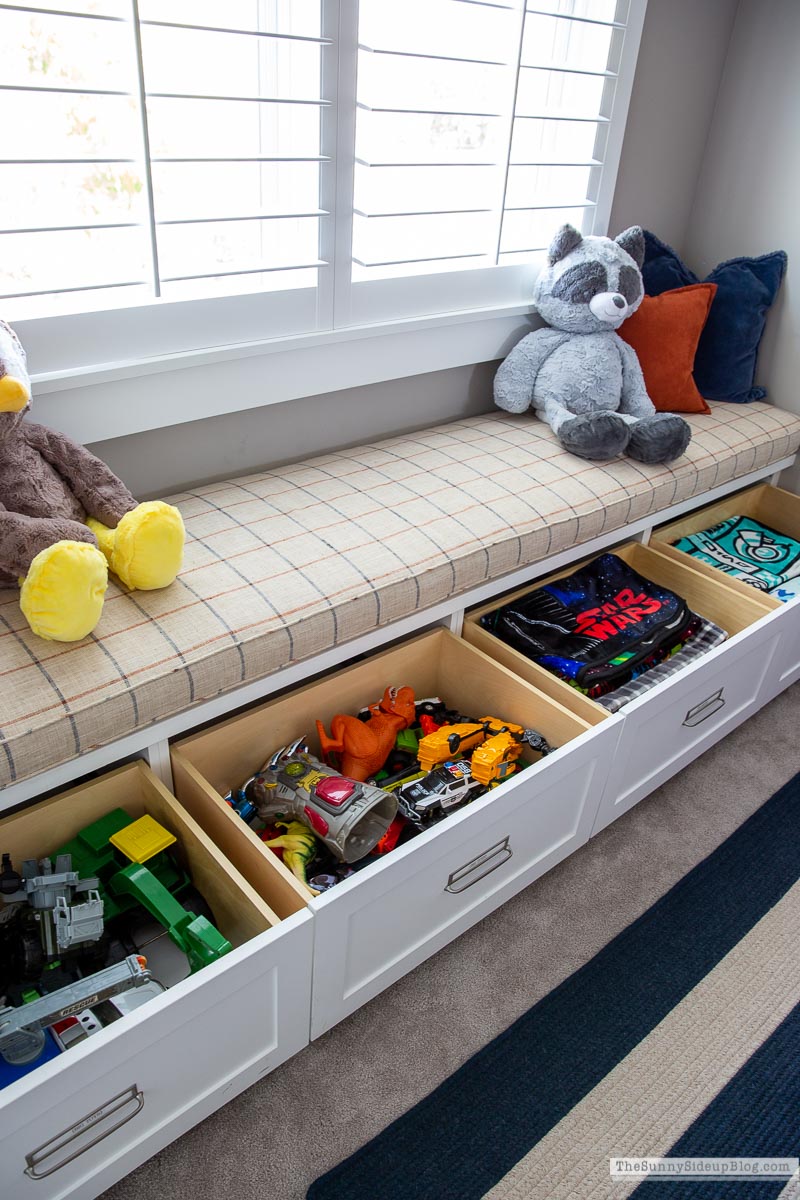 Toy Organization (Sunny Lifestyles)