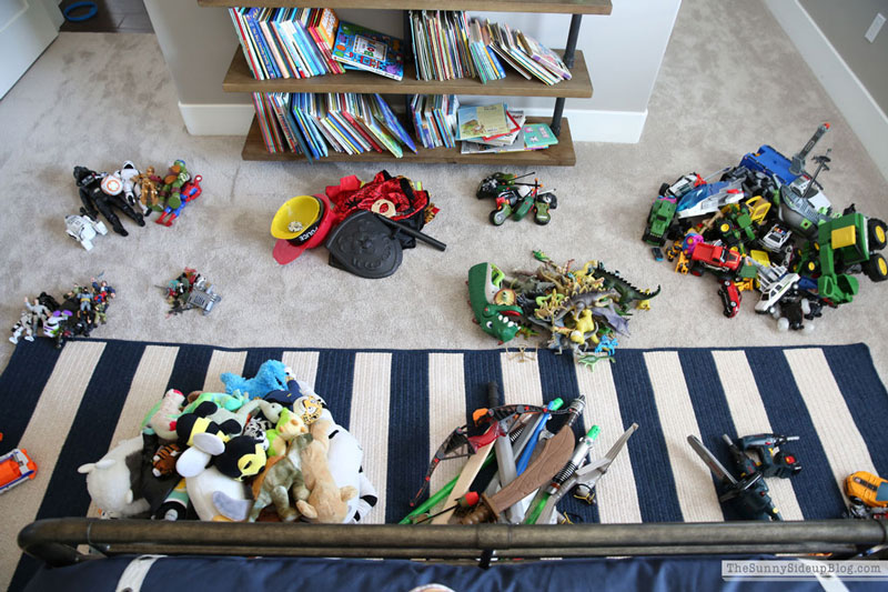 Toy Organization (Sunny Lifestyles)