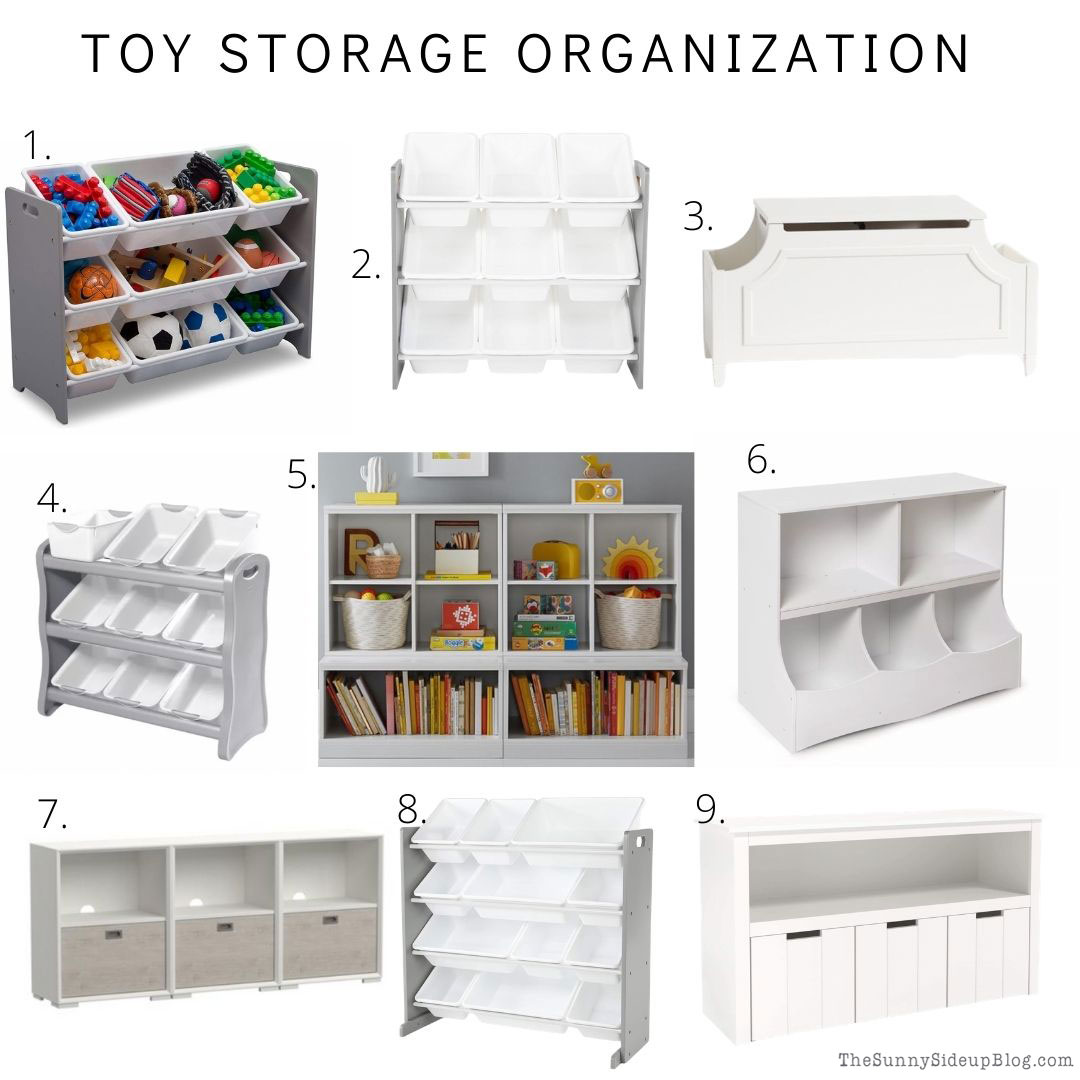 Toy Organization (Sunny Lifestyles)