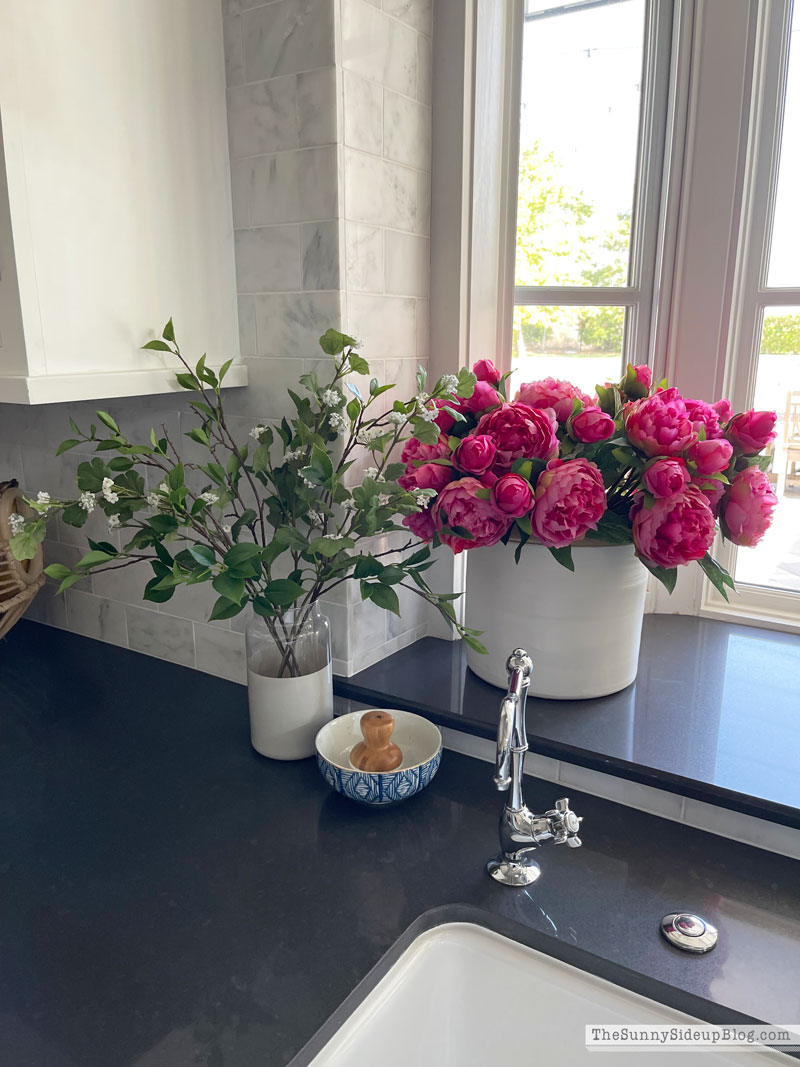 May Amazon Favorites (Sunny Lifestyles)