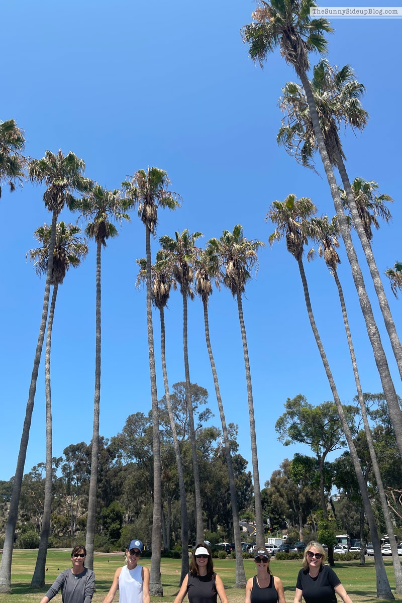 dana point (Sunny Lifestyles)