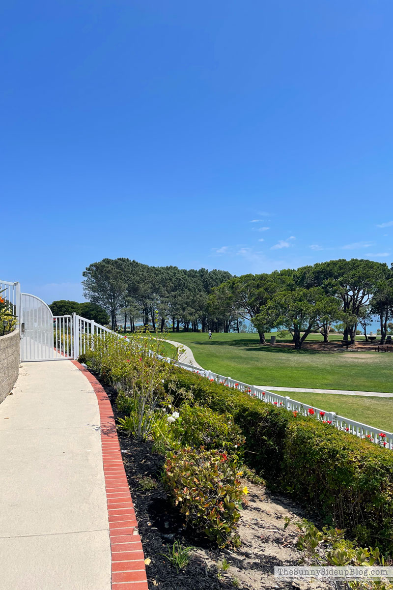dana point (Sunny Lifestyles)