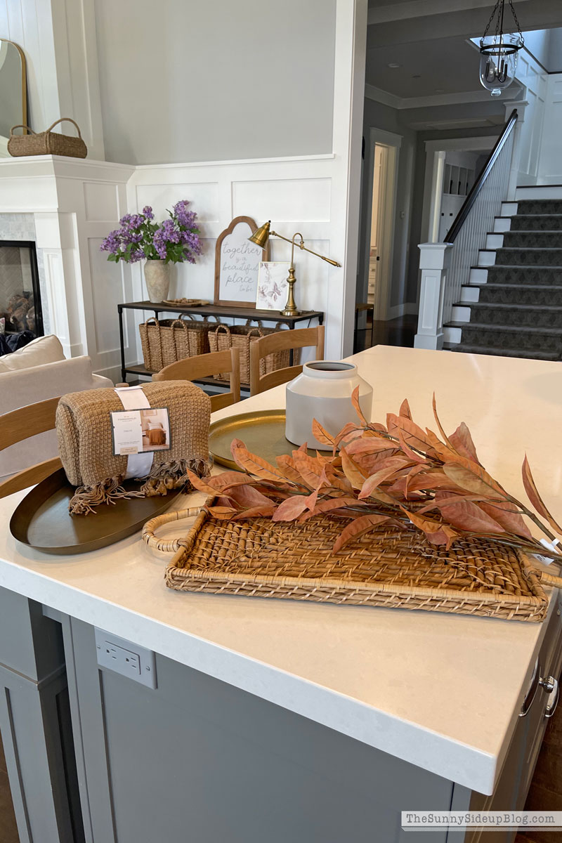 Fall decor (Sunny Lifestyles)