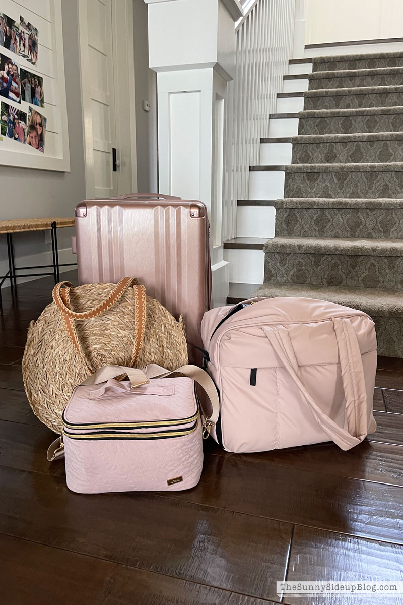 travel bags (Sunny Lifestyles)