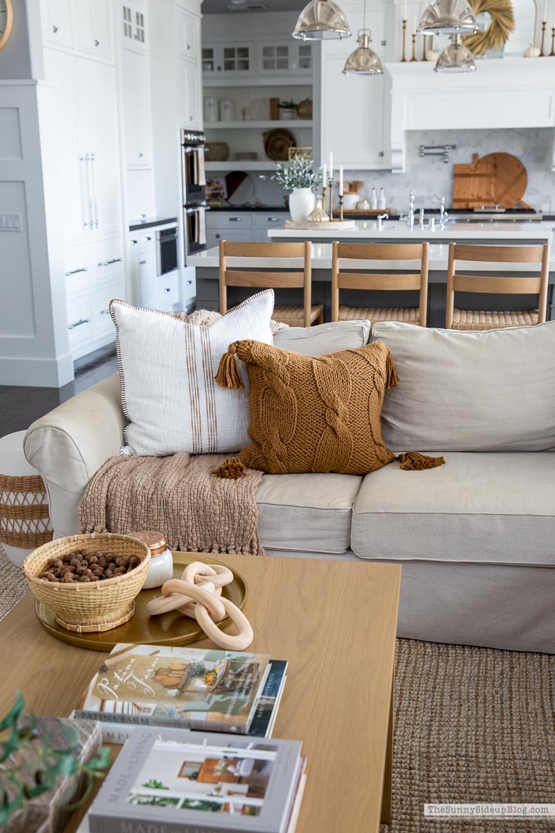 Fall Family Room Decor (Sunny Lifestyles)
