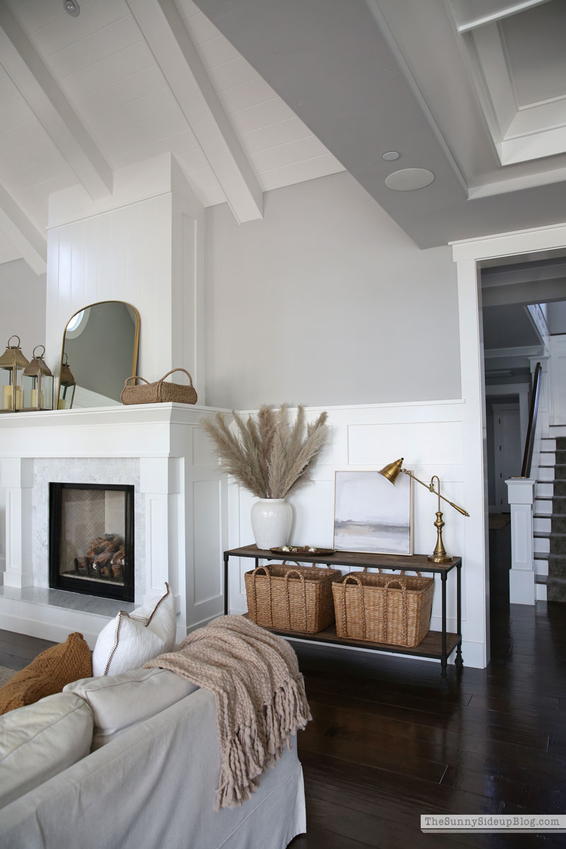 Pampas Grass, Fall Decor (Sunny Lifestyles)
