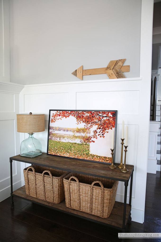 Pampas Grass, Fall Decor (Sunny Lifestyles)
