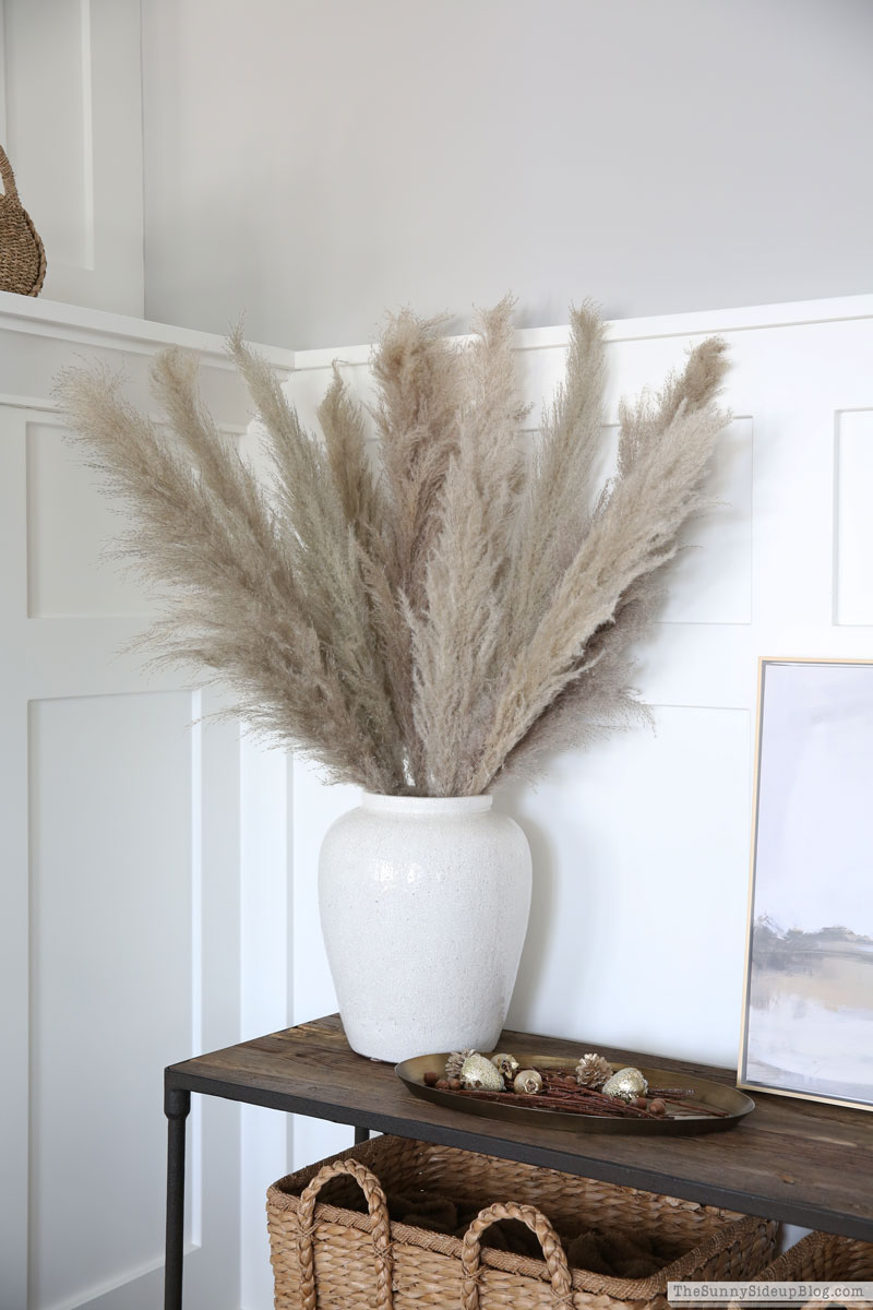 Pampas Grass, Fall Decor (Sunny Lifestyles)