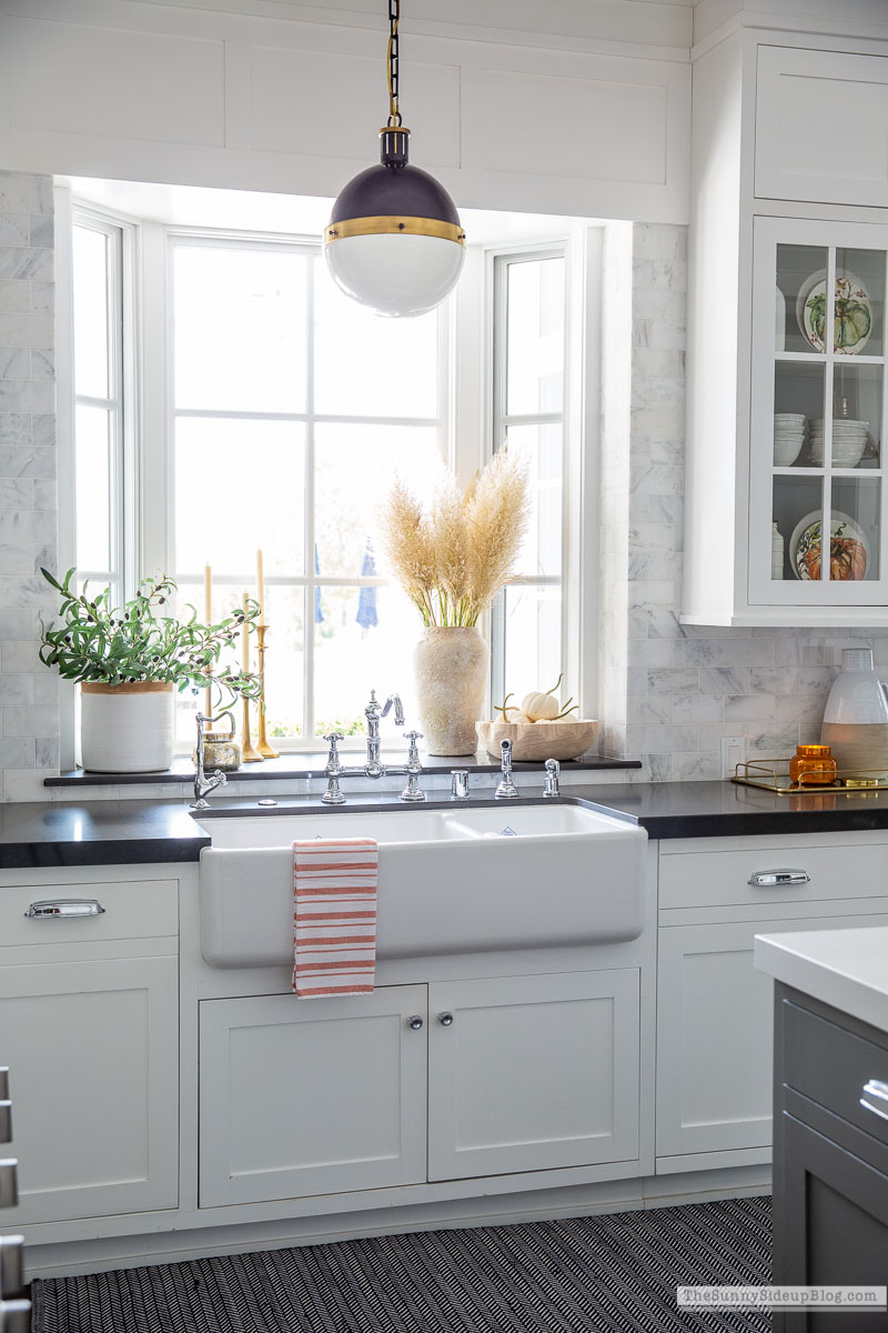 Pampas Grass, Fall Decor (Sunny Lifestyles)