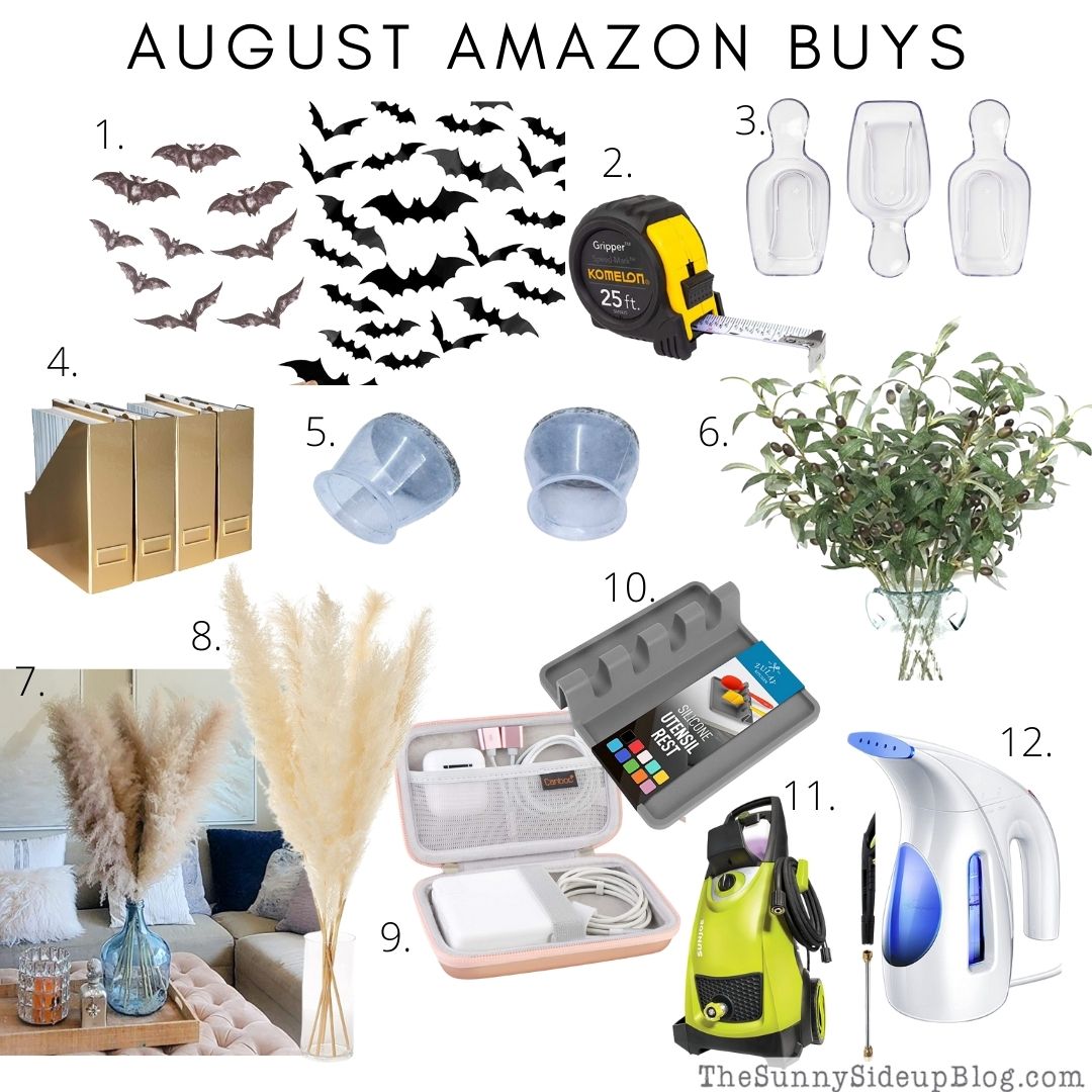 August Amazon Buys (Sunny Lifestyles)