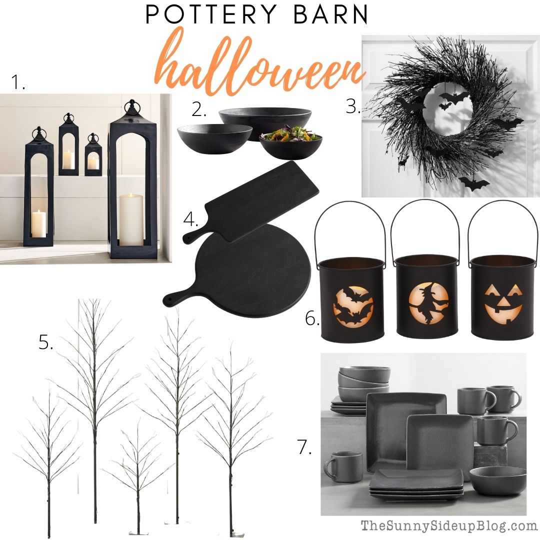 September Amazon Buys/Fall Favorites (Sunny Lifestyles)