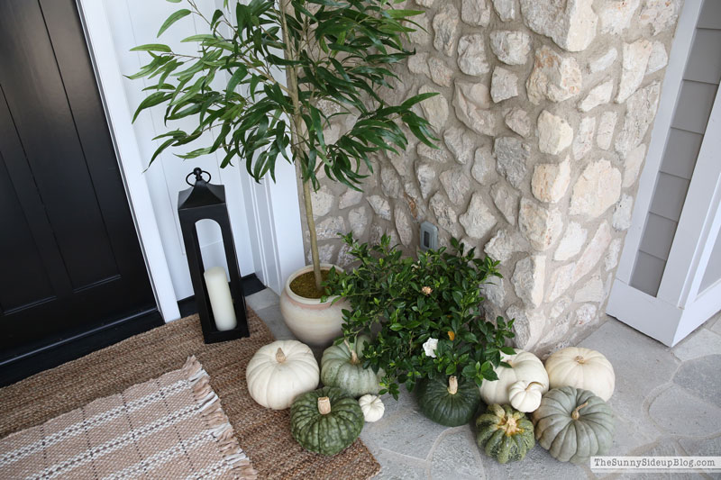 Green and White Fall Porch (Sunny Lifestyles)
