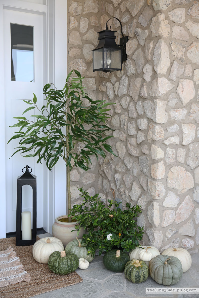 Green and White Fall Porch (Sunny Lifestyles)