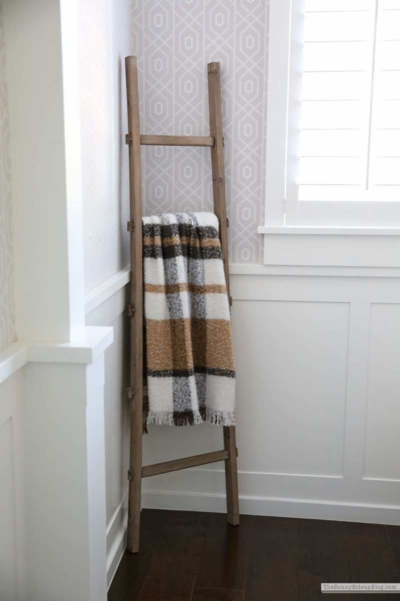 Fall powder bathroom (Sunny Lifestyles)