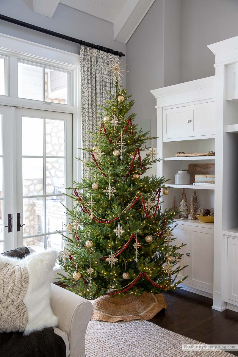Christmas Trees (Sunny Lifestyles)