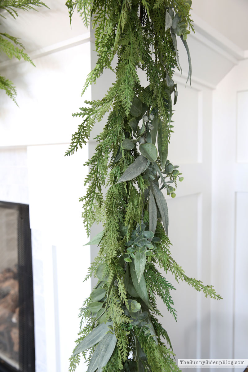 Christmas prep (Sunny Lifestyles)