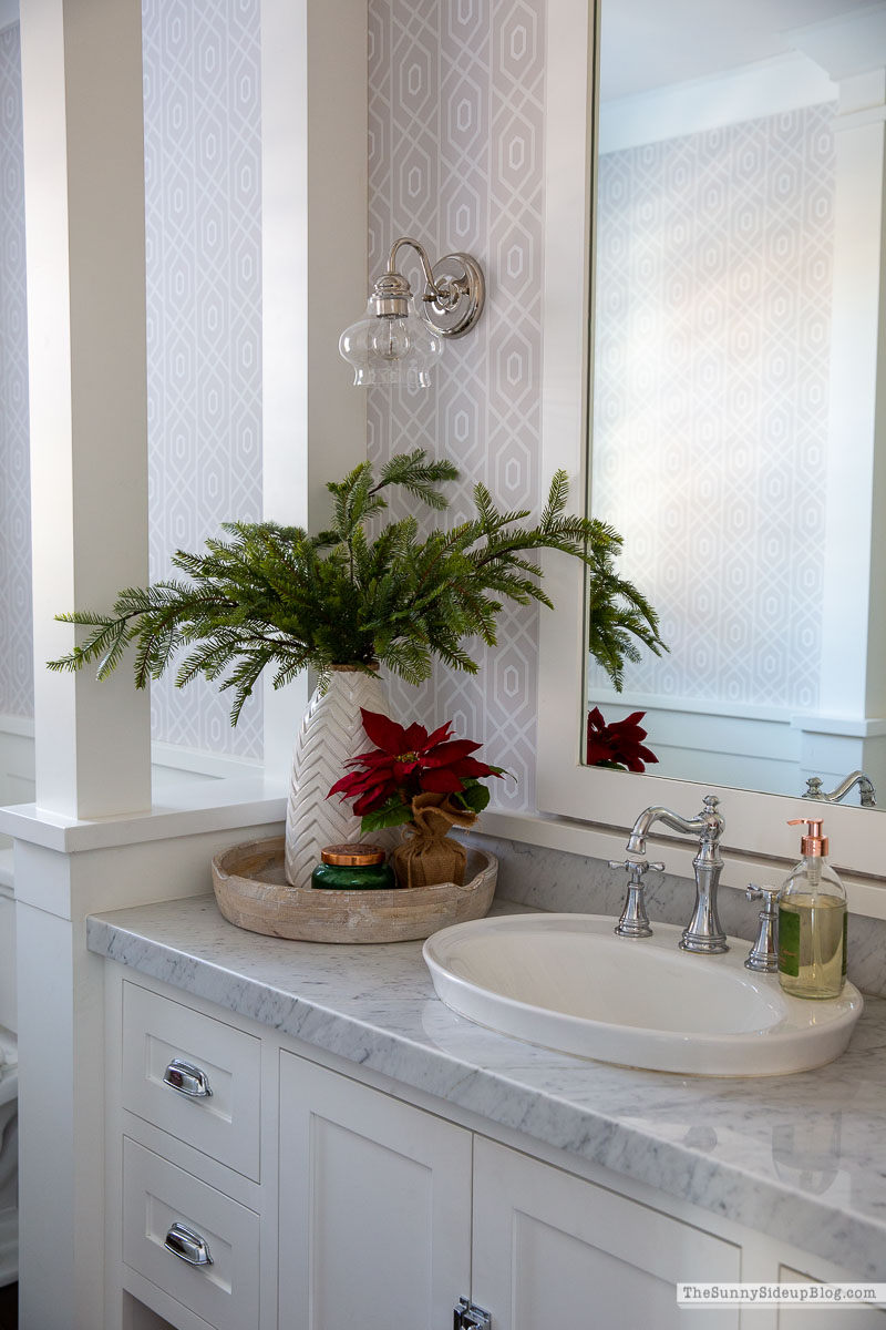 Christmas Decor (Sunny Lifestyles)