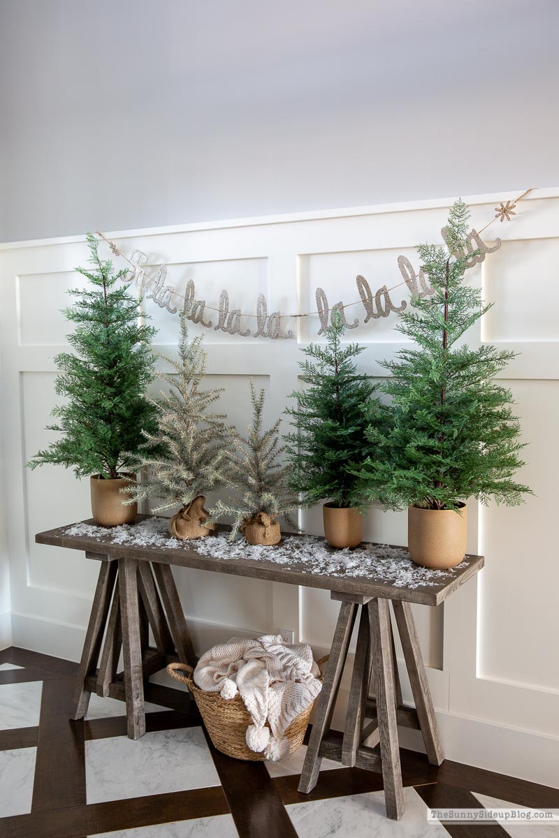 Christmas Decor (Sunny Lifestyles)