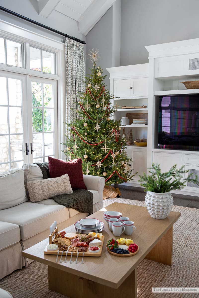 Holiday Snacks (Sunny Lifestyles)